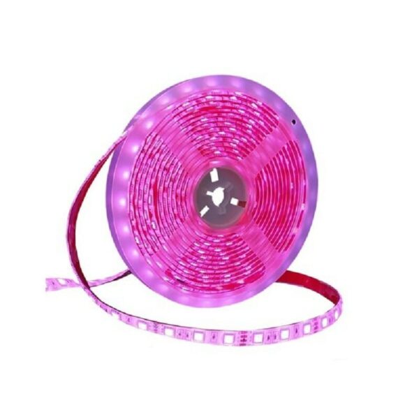 Ταινία LED – LED Strip - IP65 - 5m - Pink - 891207 - GoodFlix