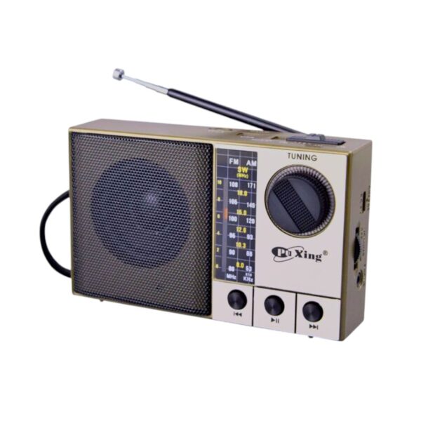 Επαναφορτιζόμενο ραδιόφωνο - PX-711BT - 427111 - Gold - GoodFlix
