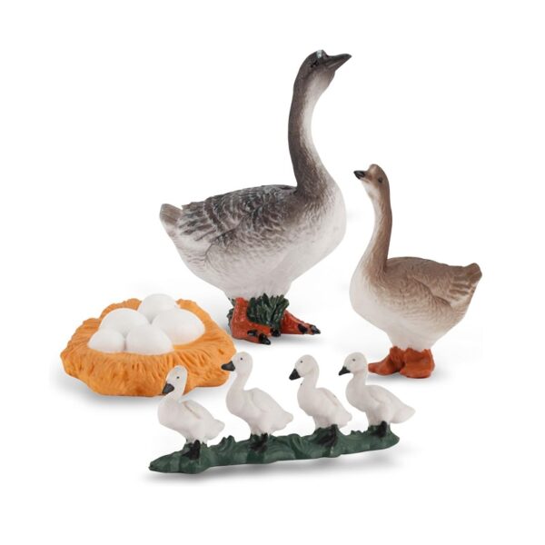 Εκπαιδευτικό σετ Πάπιες - Life Cycle - 161112 - GoodFlix