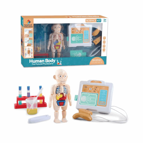 Εκπαιδευτικό παιχνίδι ανατομίας - H326A - 305255 - GoodFlix