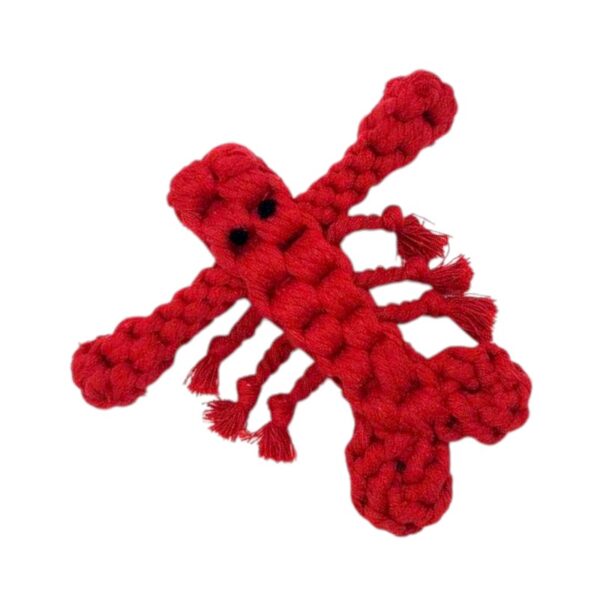 Παιχνίδι σκύλου ζωάκι από σχοινί - 19x17cm - 550596 - GoodFlix