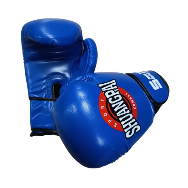 Γάντια πυγμαχίας - 10oz - 290267 - Blue - GoodFlix