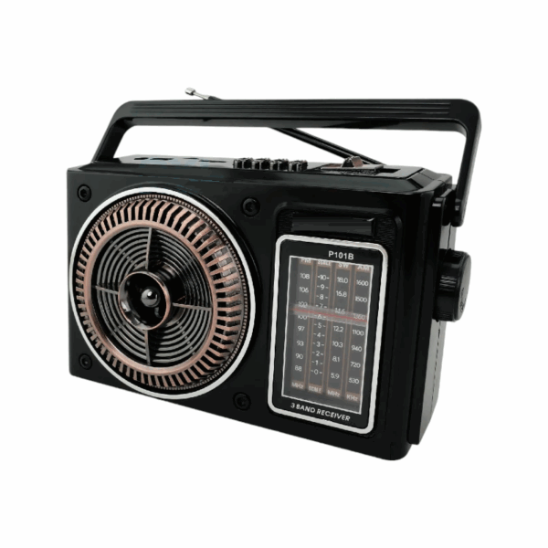 Επαναφορτιζόμενο ραδιόφωνο - PX-101BT - 020023 - Black - GoodFlix