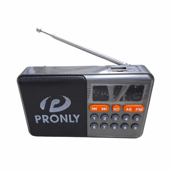 Επαναφορτιζόμενο ραδιόφωνο με Bluetooth - PR-808BT - 241335 - Grey - GoodFlix