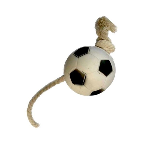 Παιχνίδι σκύλου Latex μπάλα με σχοινί - 25x8cm - 12pcs - 550391 - GoodFlix